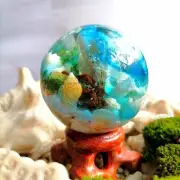 Sea themed resin paperweight with natural sea shells corals and sea weeds