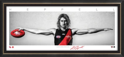 DYSON HEPPELL ESSENDON BOMBERS SIGNED FRAMED SIGNATURE SERIES WINGS PRINT HIRD