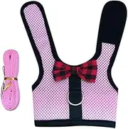 Rabbit Vest Harness Leash Lead Small Animal Pet Mesh Hamster Bunny Traction Rope - Comfortable Rabbit Vest Harness with Leash, Soft Mesh Small Pet Traction Rope