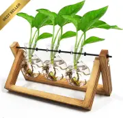 Plant Terrarium with Wooden Stand 3 Bulb Vases Propagation Station Hydroponics