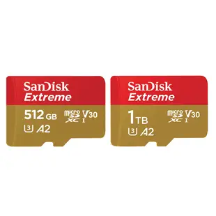 【就是要玩】現貨 SanDisk Extreme A2 512G 1T 手機相機平板專用記憶卡 SD記憶卡