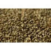 Gladfield Biscuit Malt