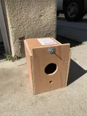 Parakeet Bird Nest Breeding Box Mating Nesting