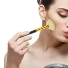 1 Set Makeup Brush Dense Bristles Makeup Facial Beauty Loose Powder Blush