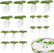 Floating Aquarium Plants, 18Pcs Lifelike Mini Fake Green Duckweed with Stem, 3 Sizes Plastic Floating Plants for Aquarium Fish Tank Decor-