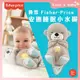 原廠現貨 Fisher-Price 費雪 安撫睡眠小水獺【B13008】