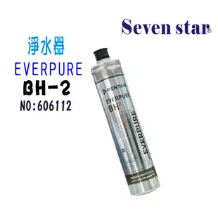 Everpure BH-2濾心 淨水器咖啡機製冰機過濾器 貨號 606112 Seven star淨水網