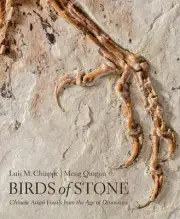 Birds of Stone: Chinese Avian Fossils from the Age of Dinosaurs by Luis M. Chiap