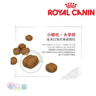 【法國皇家Royal Canin】強效潔牙成貓專用乾糧O30 1.5KG /3.5KG 毛貓寵