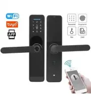Fingerprint Door Lock, Fingerprint/IC Card/Password/Mechanical Key/Mobile App