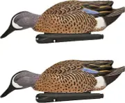 Avian X Topflight Blue-Winged Teal Duck, Realistic Floating Duck Decoy, Set of 2