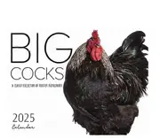 2025 Big Rooster Calendar Pendant Decoration New Year Gift As Shown
