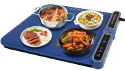 Roll-up Silicone Food Warming Mat Tray Electric for Buffet Parties 9 Temperature