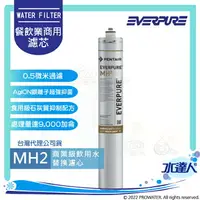 在飛比找樂天市場購物網優惠-EVERPURE愛惠浦濾心/商用型濾心MH2濾芯(公司貨)一