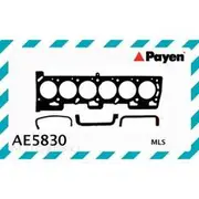 Payen Head Gasket - AE5830