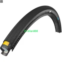 在飛比找露天拍賣優惠-世文SCHWALBE PRO ONE HT公路車700X22