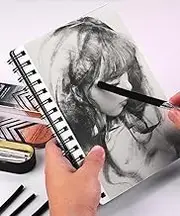 10 PCS Willow Sticks Charcoal for Drawing Artist Willow Sketch Charcoal Sticks Black Willow Charcoal Sticks Soft Willow Sticks and Charcoal Pencils for Professionals Beginners Painter Student