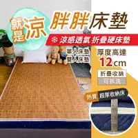 在飛比找蝦皮商城精選優惠-【安迪寢具】12公分厚度 就是涼胖胖床墊 單人床墊 雙人床墊