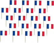 UTHCLO 200Pcs Decorative French Flag Toothpicks Disposable Food Picks for Parties Cocktails Fruit Platters and Appetizers Party Supplies for Restaurants and Bars