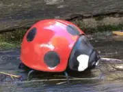 Art Studio Raku Pottery Beetle Insect Ladybug Bug Sculpture Figurine Handmade