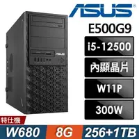 在飛比找森森購物網優惠-ASUS E500G9 商用工作站 i5-12500/8G/