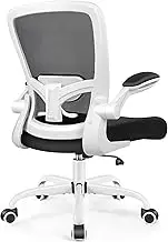 FelixKing Office Chair, Ergonomic Desk Chair Breathable Mesh Chair with Adjustable High Back Lumbar Support Flip-up Armrests, Executive Rolling Swivel Comfy Task Computer Chair（Light Blue）