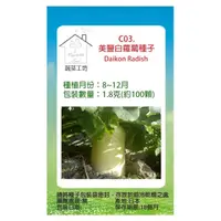 在飛比找momo購物網優惠-【蔬菜工坊】C03.美豐白蘿蔔種子(日本進口超雲大根)