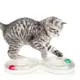 貓玩具貓咪轉盤互動室內軌道轉盤拼接逗貓玩具球用品