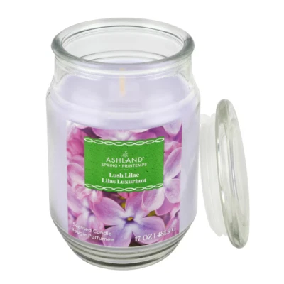 Scented Jar Candle Lush Lilac 17oz Long Lasting Fragrance