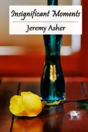 Insignificant Moments by Jeremy Asher (English) Paperback Book