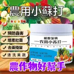 【正品農用】除蟲殺菌 農用 小蘇打 增産 增收 花卉 綠植 蔬菜 果樹 果蔬 病蟲害 防治 病害肥