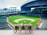 3D Baseball Stadium Self-adhesive Removeable Wallpaper Wall Mural