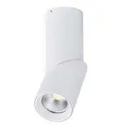 Havit Nella 7W COB LED Tri Colour Surface Mounted Adjustable Downlight