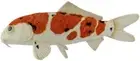 BH8280 HANSA Nishikigoi Taisho Sanshoku 52