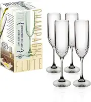 Kitchen Gizmo,Champagne Flute, Shatterproof, Reusable, Dishwasher Safe, Set of 4
