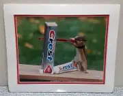 Pictorial Photography CHIPMUNK w/ TOOTHBRUSH & TOOTH PASTE Dick Plopper Wall Art