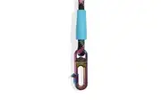 Zee.Dog: Hands-Free Lead - MTV