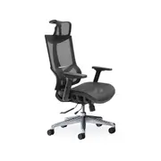 MIUZ Ergonomic Mesh Office Chair Gaming Executive Fabric Seat Headrest Black