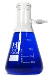 Eisco Labs 1000ml Filtering Flask, Borosilicate Glass - Pack of 2