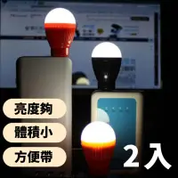 在飛比找momo購物網優惠-【居家照明】USB燈泡造型LED燈2入(白光 桌燈 夜燈 床