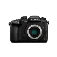 在飛比找蝦皮商城優惠-Panasonic LUMIX GH5 BODY 單機身 公