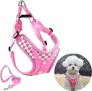 Lovely Dog Frenchie Harness with Leash Set, No Pull Adjustable Step in Reflective Strips with Breathable Padded Vest Harness for Small Medium Large Dogs Training and Running (S Pink)