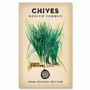 The Little Veggie Patch Co Chives Heirloom Seeds