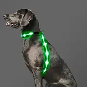 PZRLit LED Light Up Dog Vest Harness Rechargeable, Soft Padded, Adjustable & Reflective, Waterproof, Glow Dark Dog Light Harness for Camping Night Safety Walking, Large Green