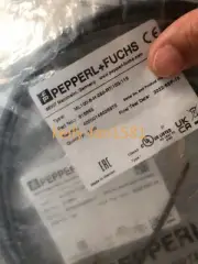 100% Test 1pcs PEPPERL + FUCHS ML100-8-H-250-RT/103/115 818865
