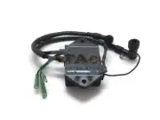 Boat 9.8F-01.03.01.00 CDI Ignition Coil Unit for Hidea Outboard H 9.8HP 8HP 2 st