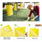 Up 20pcs Yellow Sticky paper Insect Trap Catcher Killer Fly Aphids Wasp - SALE