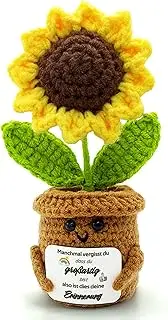 HeDaKang Du bist Großartig Mutmacher Gift - Pocket Hug Positive Potato Potato Crochet Sunflowers Lucky Charm Good Luck Anti Stress Motivational Gifts Women Men Friends Colleagues