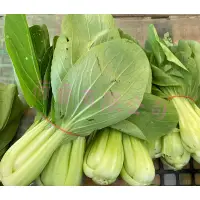 在飛比找蝦皮購物優惠-青梗白菜(青江菜)種子15公克(約7500粒) 湯匙菜 青江