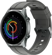 Noise Newly Launched Evolve 2 Play AMOLED Display Smart Watch with Fast Charging, Always On Displa, 50 Sports Modes, Hindi Language Support, Health Suite (Silver Grey)